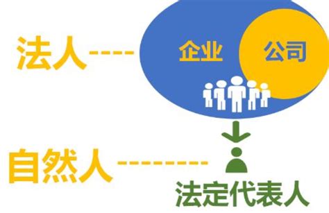 代表法人 意思|1．法人、法人代表、法定代表人的区别是什么？